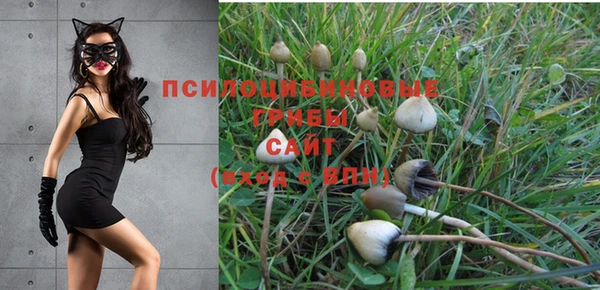 соль ск Балахна